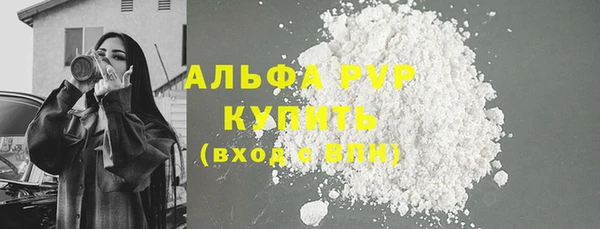 трава Бородино