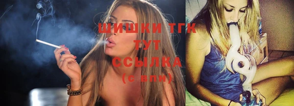 трава Бородино