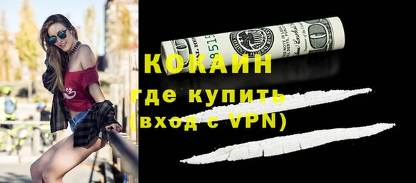 трава Бородино