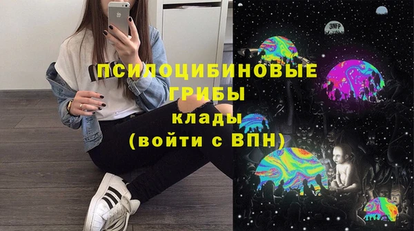 трава Бородино