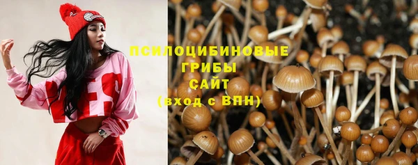 трава Бородино