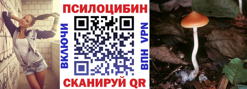 закладки  Тамбов  Псилоцибиновые грибы Cubensis 